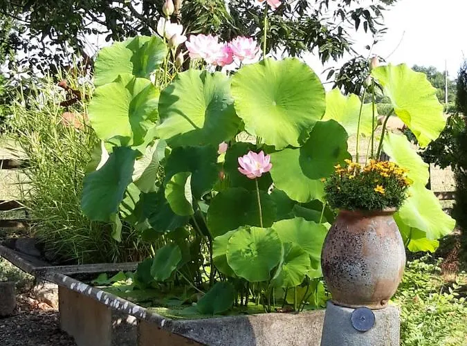 Le Pouy Termes-d'Armagnac