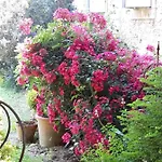 Le Pouy Bed & Breakfast