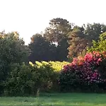 Le Pouy Bed & Breakfast