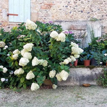 Le Pouy Bed and breakfast