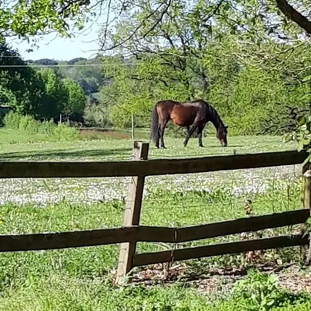 Le Pouy Bed & Breakfast
