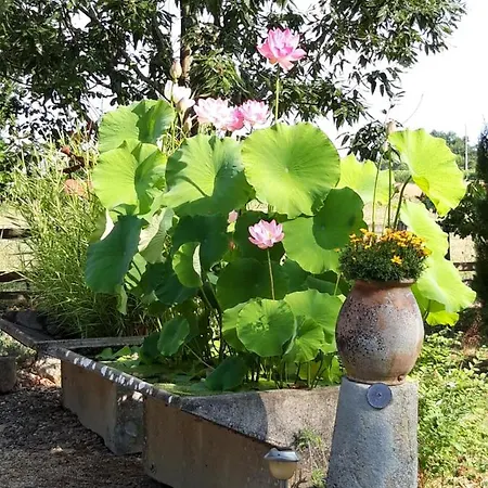 Le Pouy Termes-d'Armagnac