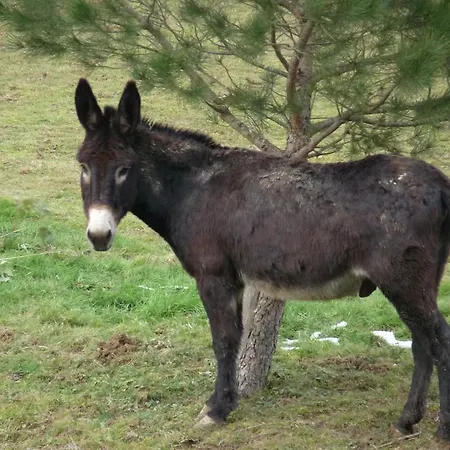 Panzió Le Pouy Termes-d'Armagnac