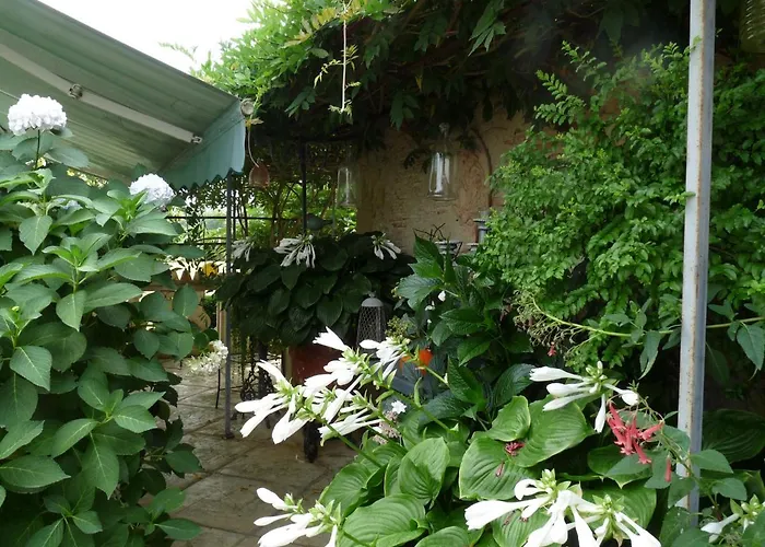 Le Pouy Bed and breakfast Termes-d'Armagnac