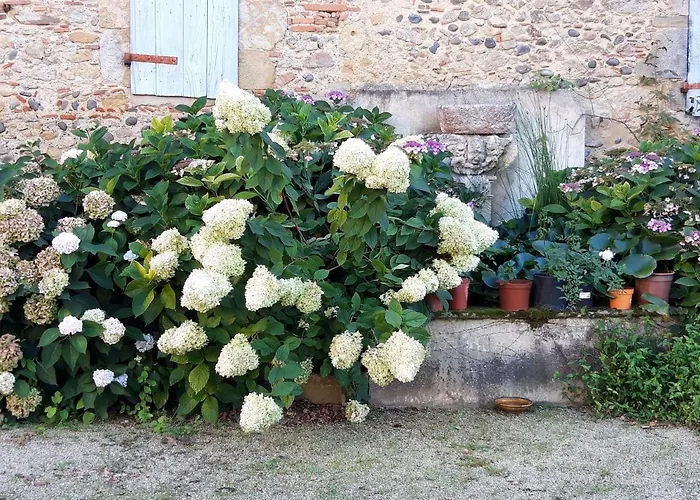 Le Pouy Bed and breakfast