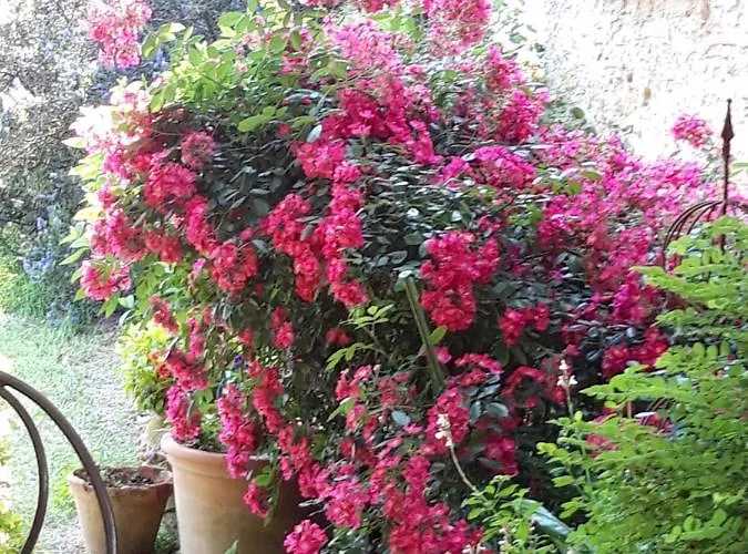 Le Pouy Bed and breakfast