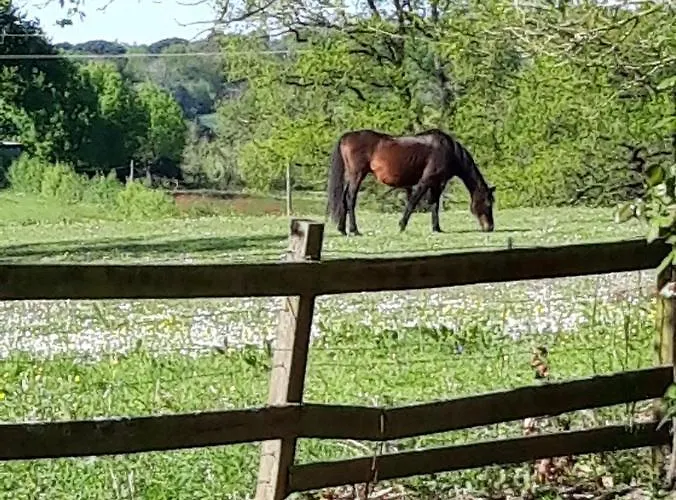 Le Pouy Bed and breakfast