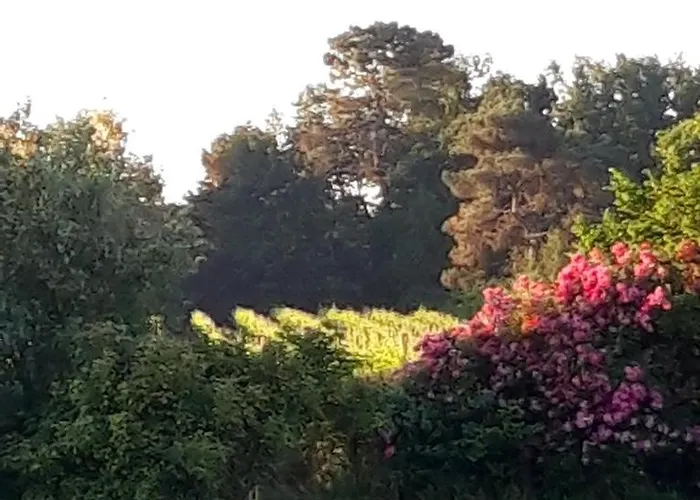 Le Pouy Bed and breakfast